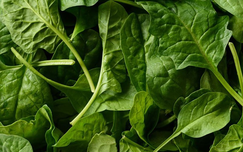 Spinach